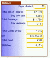 Planter-Tallies_balance.jpg (12127 bytes)