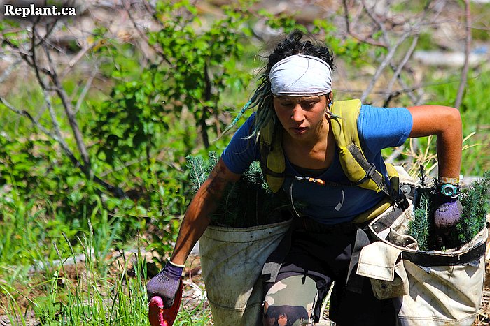 treeplanting girl