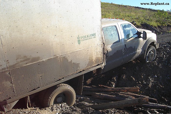 tree-planting-planters-2005_vanderhoof_003