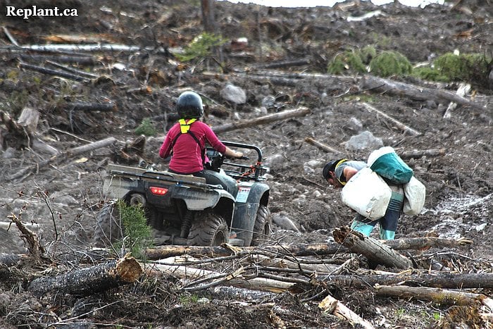 tree-planting-planters-2014_kamloops_007