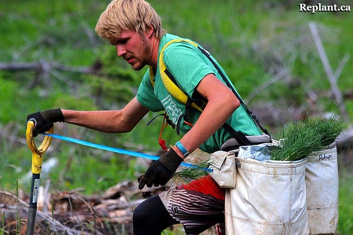 tree-planting-planters-2015_alberta_023