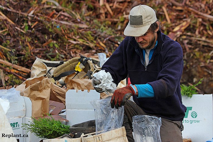 tree-planting-planters-2015_spring-coastal_009