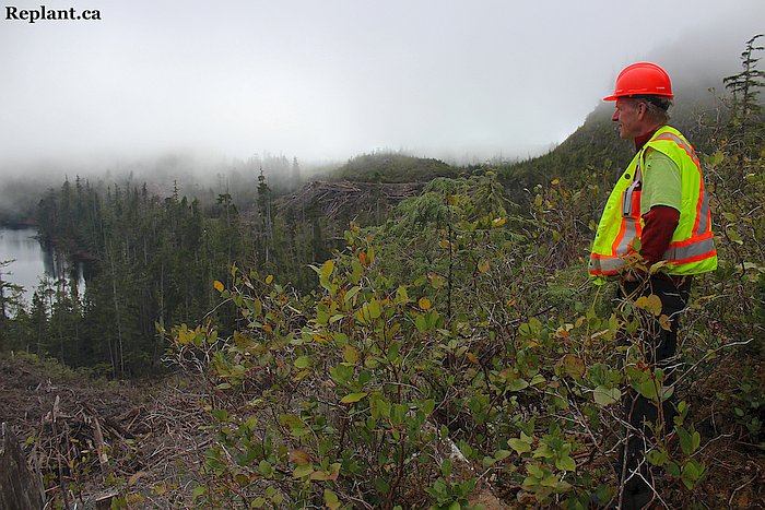 tree-planting-planters-2015_spring-coastal_042