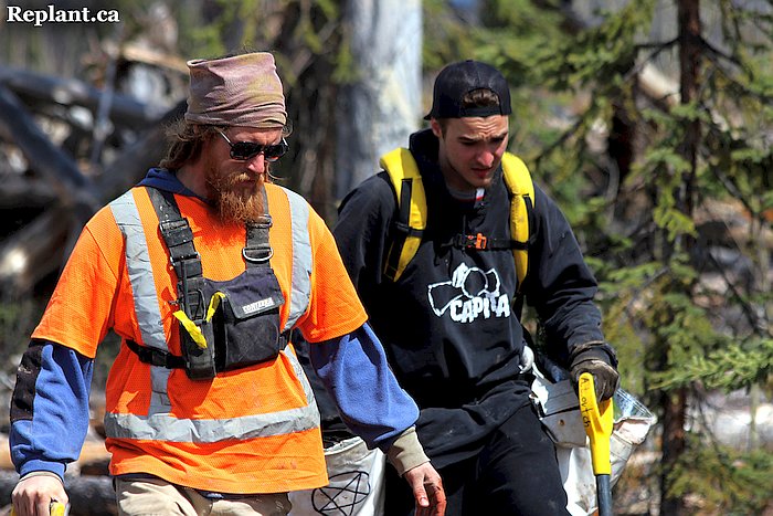 tree-planting-planters-2015_vanderhoof_005