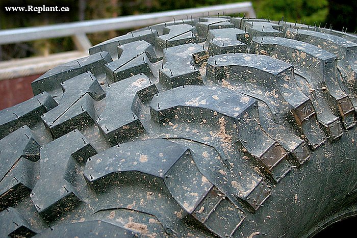 tree-planting-planters-mud-tire