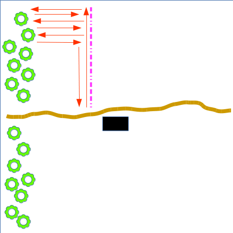 filling-your-tree-planting-piece