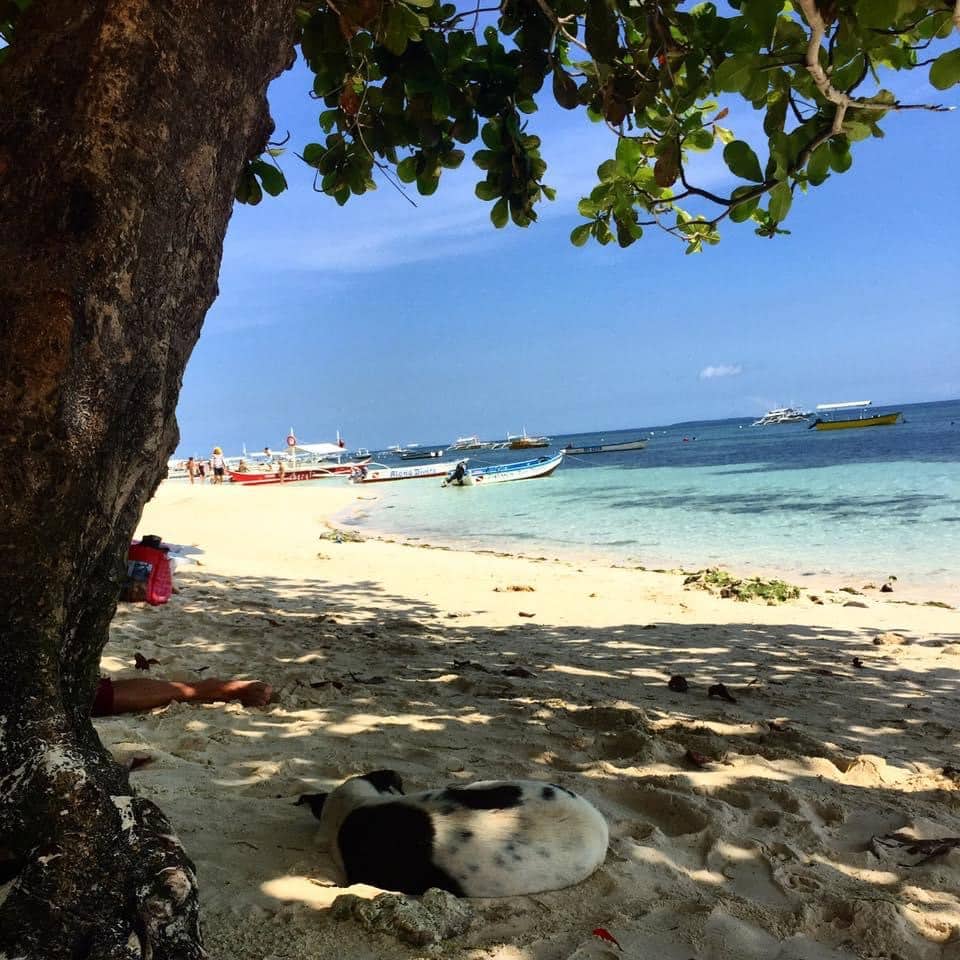 Panglao-beach-place-to-visit-bohol-philippines
