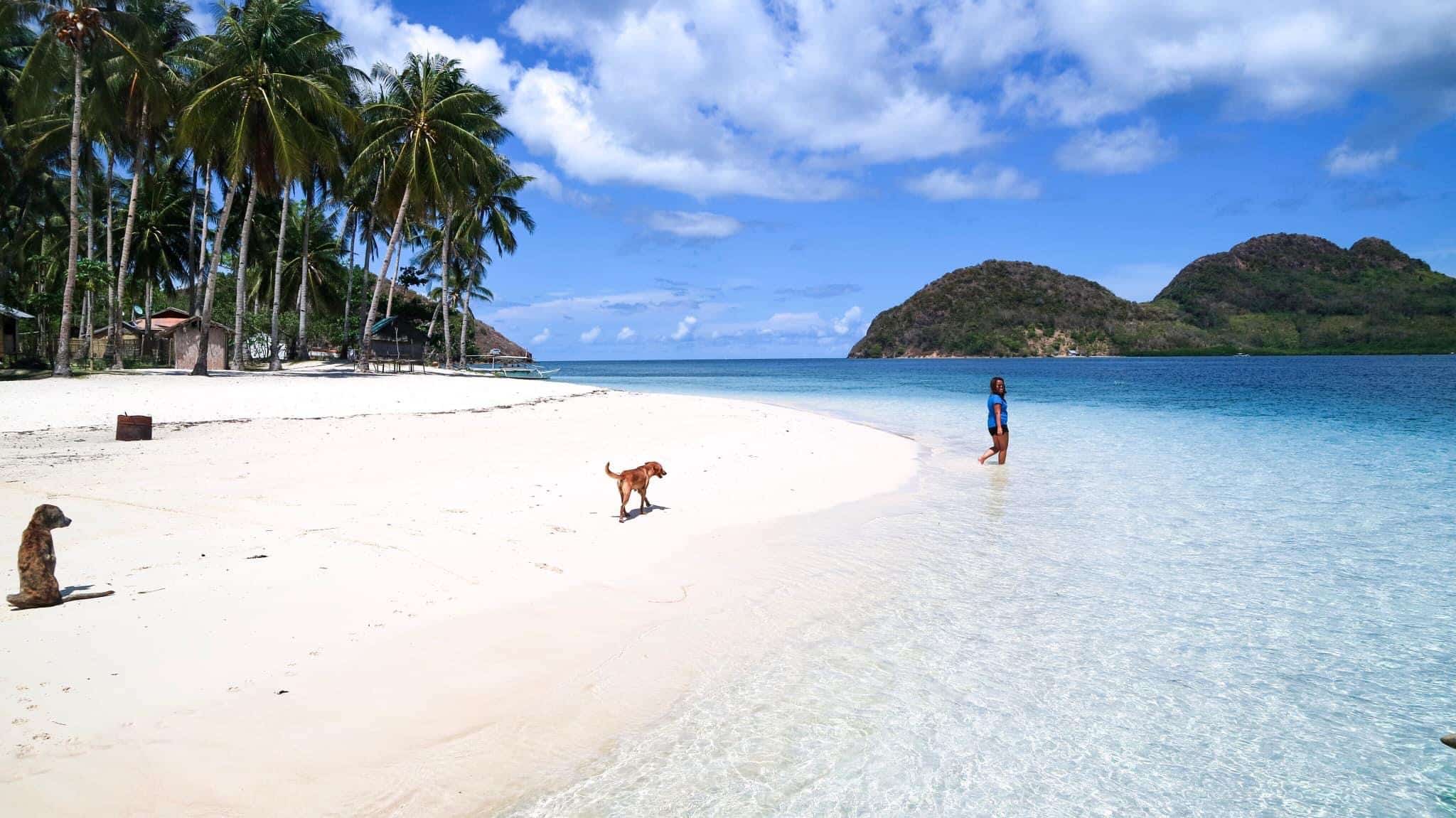 Private-island-hopping-boat-tour-between-elnido-coron-Palawan-private-island-hopping