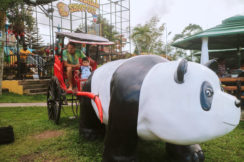 campuestohan-highland-resort-theme-water-park-panda-carriage