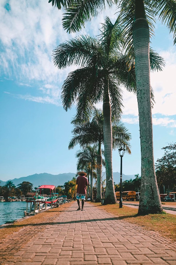 Things to do in Paraty, Brazil, palm trees