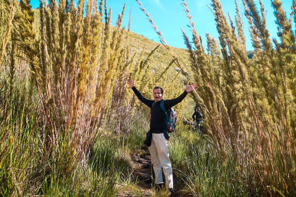 brazil-rock-climbing-tall-grass