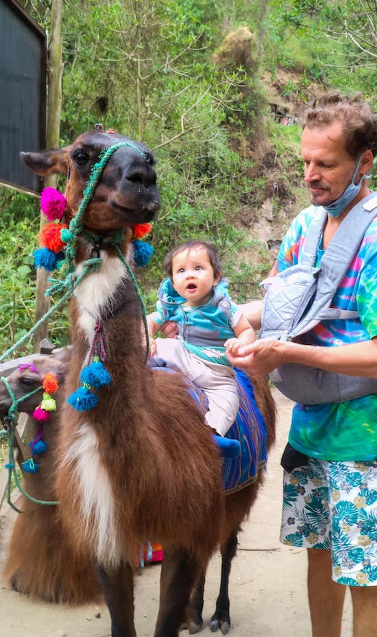 canoa-ecuador-baby-llama