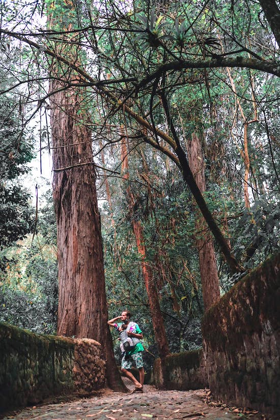 canoa-ecuador-forest