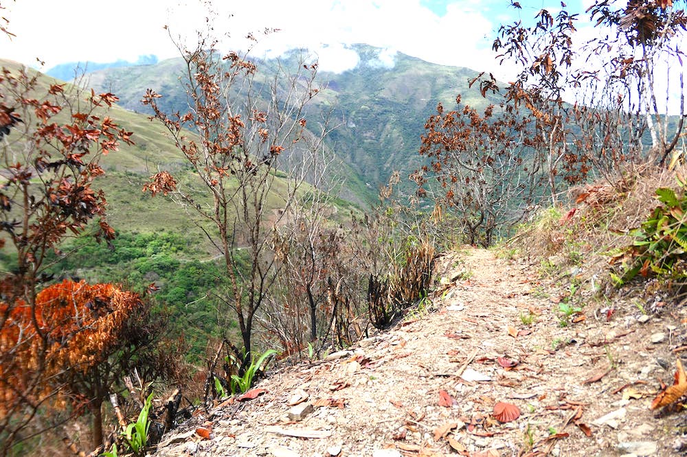 peru-hike-5